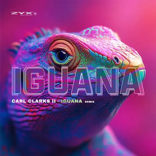 Carl Clarks - Iguana