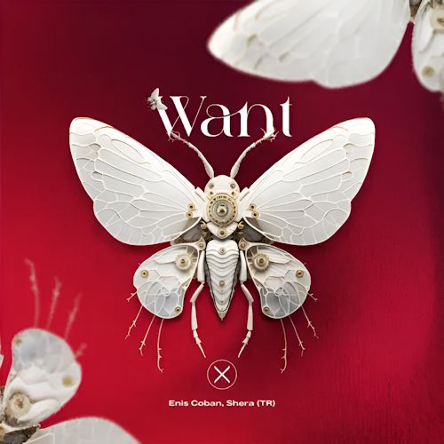 Enis Coban, Shera (TR) - Want
