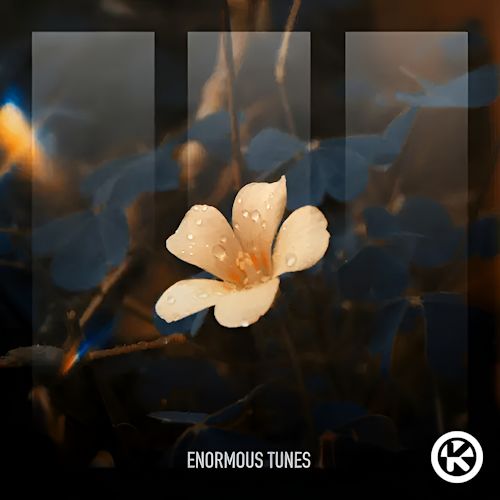 MAMAN & Passenger 10 - Bloom In The Ashes 