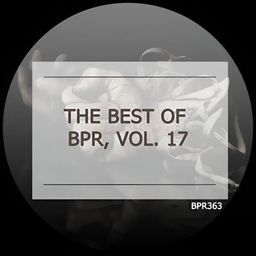 Various Artists - The Best Of BPR Vol. 17