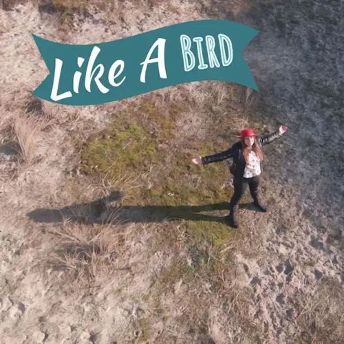 Janet Camies - Like A Bird 