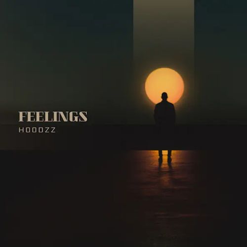 Hoodzz - Feelings