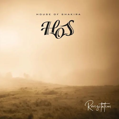 House Of Shakira - In Your Head