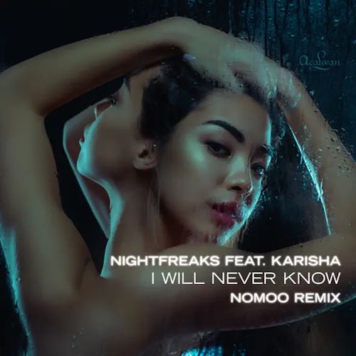 Nightfreaks feat. Karisha - I Will Never Know