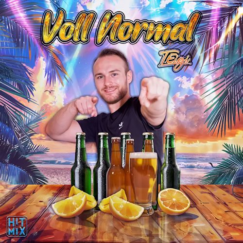 Teigi - Voll Normal